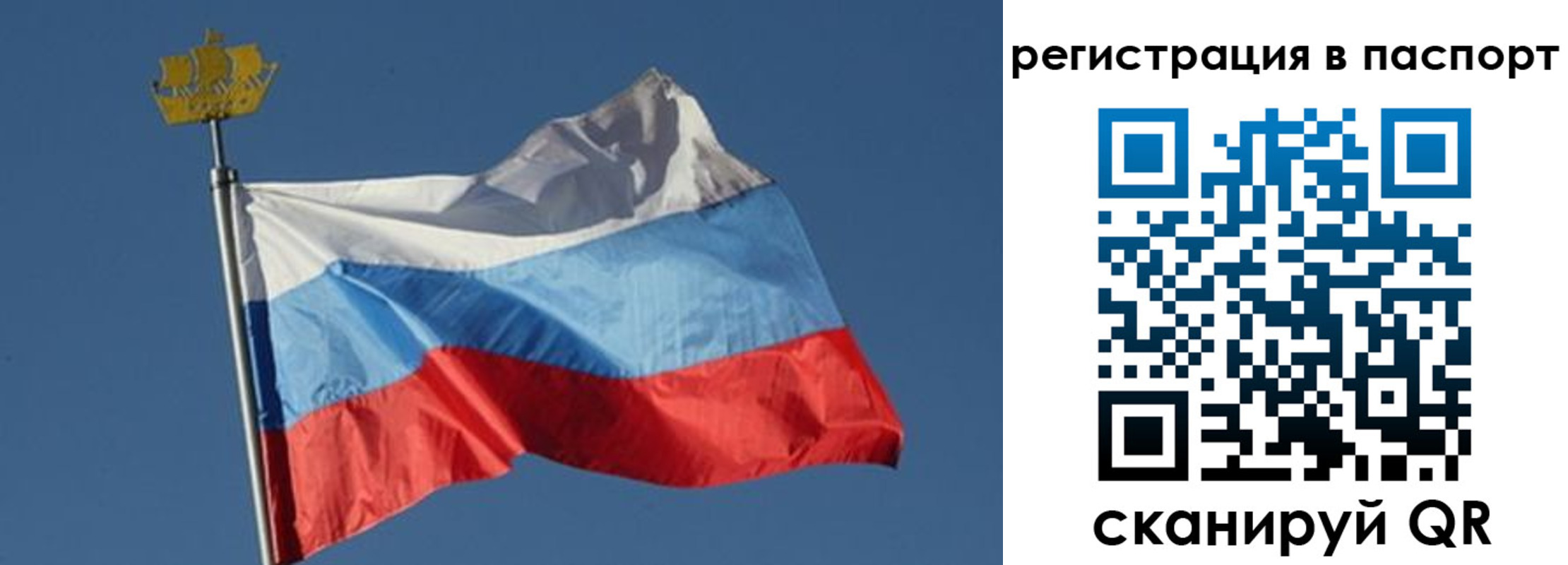 временная регистрация законно в Калининграде